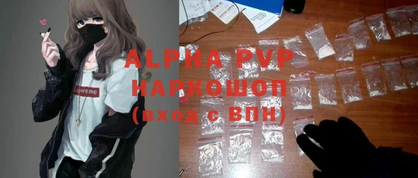 гашик Липки