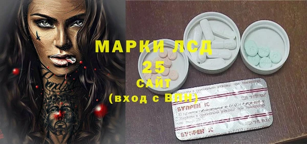 гашик Липки