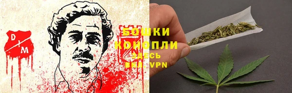 винт Лиски