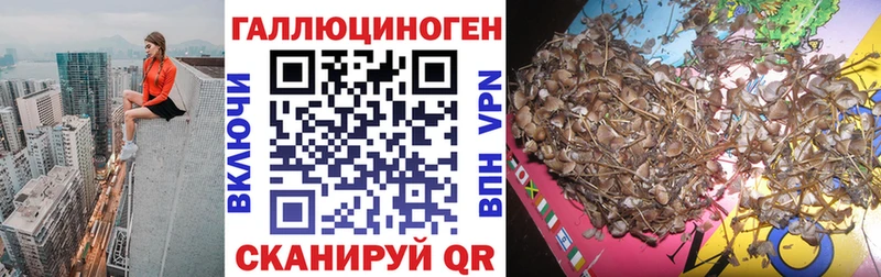 Галлюциногенные грибы мицелий  кракен сайт  Таганрог  купить  