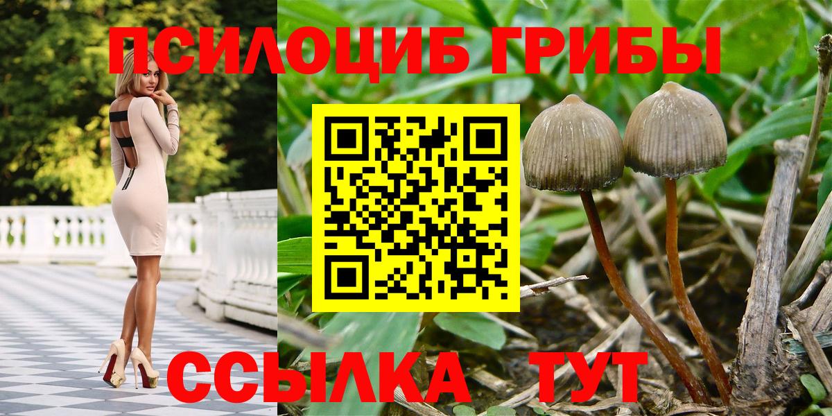 Псилоцибиновые грибы мицелий  Вход с VPN  Таганрог 