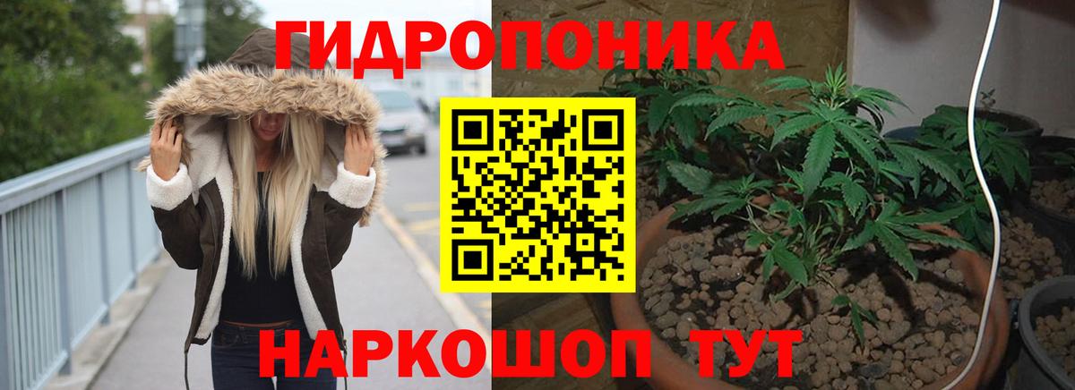 Канабис семена  Бошки марихуана план  Таганрог  Шишки марихуана AK-47  Вход с VPN  Марихуана SATIVA & INDICA 